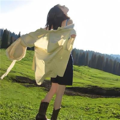 屠门镇之关西荡寇