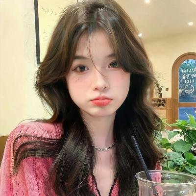 燕子盗
