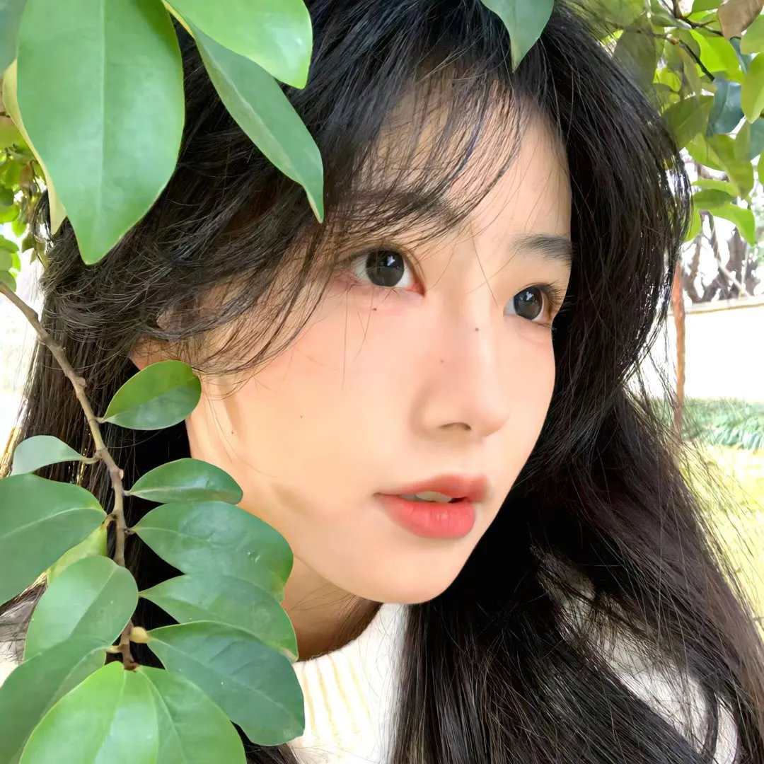 中央公园第二季